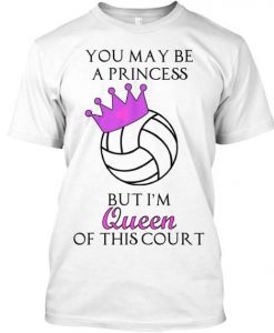 Queen of the Volleyball N22AR