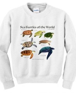 Sea turtles of world sweatshirt ER3D