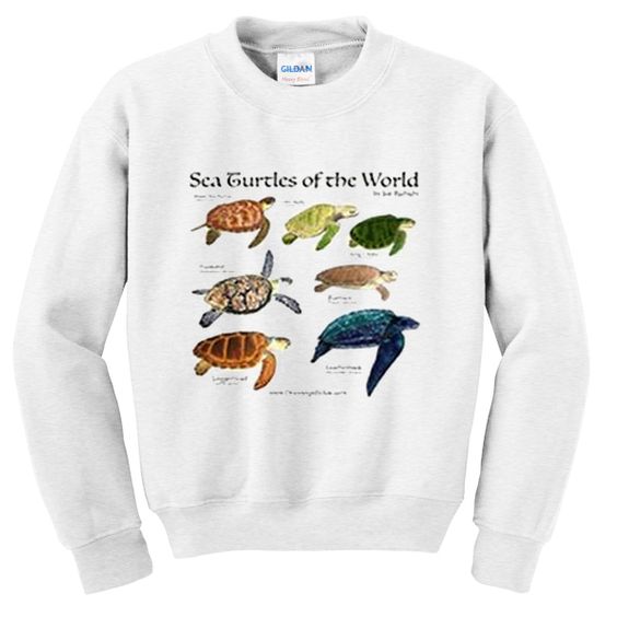 Sea turtles of world sweatshirt ER3D